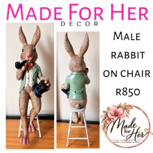 Decor -Bunny green jacket